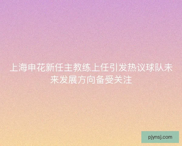 上海申花新任主教练上任引发热议球队未来发展方向备受关注