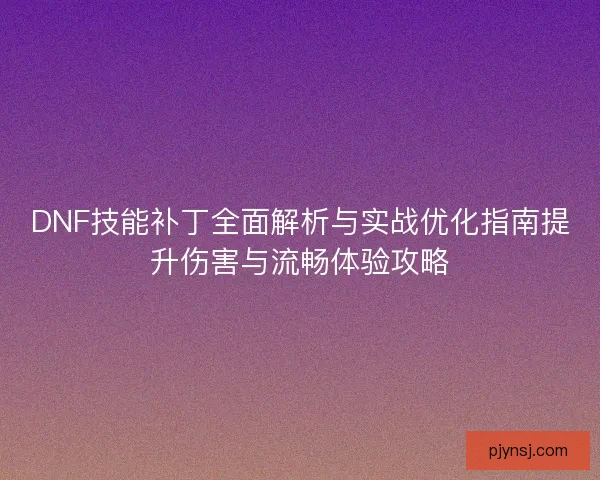 DNF技能补丁全面解析与实战优化指南提升伤害与流畅体验攻略